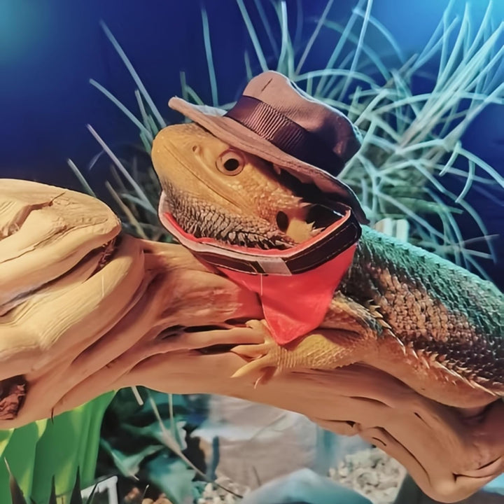 Bearded Dragon Cowboy Costume - Adjustable Lizard Cowboy Hat and Bandana Scarf Reptile Halloween Costume Photo Props for Gecko Chameleon Amphibians Ferret Hamster (Brown)