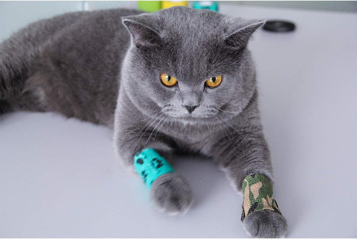 Vet Wrap Cohesive Bandages Bulk Self Adhesive Bandage Wrap Self Adherent Wrap Non-Woven for Dogs Pet Animals & Ankle Sprains & Swelling 2 Inch X 5 Yards (2 Inch Claw)