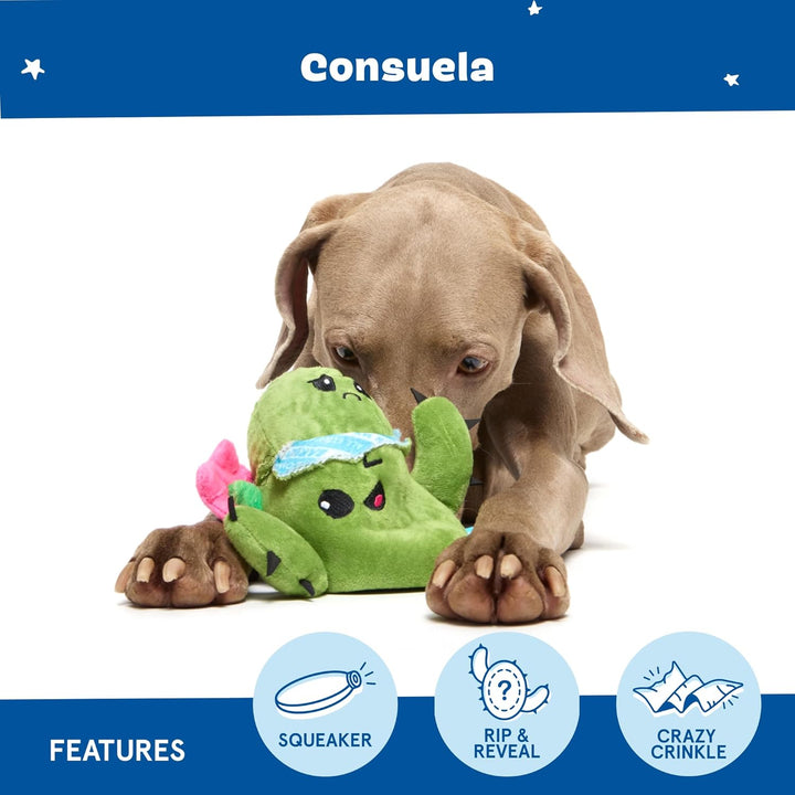 2 in 1 Interactive Plush Dog Toy - Rip and Reveal Toy for Dogs and Puppies - Stimulating Squeaky Pet Toys | Consuela Cactus (Large)
