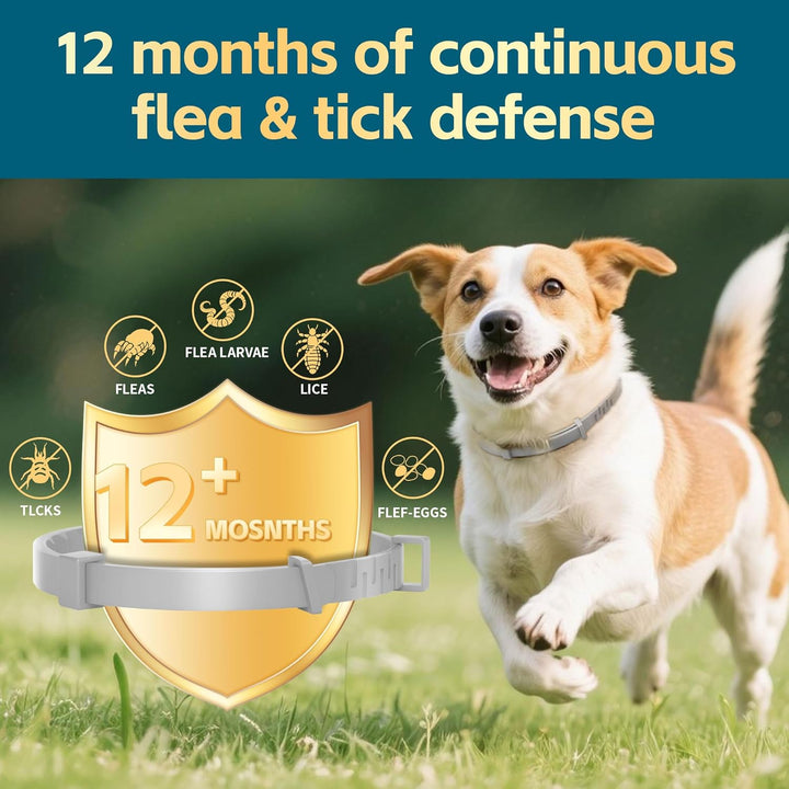 Flea and Tick Collar for Dogs – 12-Month Protection – Adjustable & Waterproof – Safe, Long-Lasting Repellent for Fleas, Ticks, Lice & Mosquitoes – Fits Small, Medium & Large Dogs