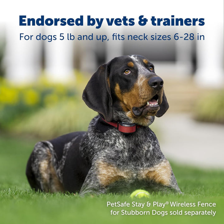 Stay & Play Wireless Fence Receive Collar for Stubborn Dogs - Rechargeable & Waterproof Receiver Collar with Quick Charge in 2-3 Hours - for Dogs 5Lb+