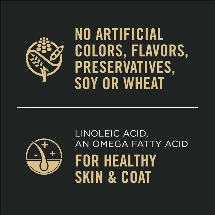 Sensitive Skin and Stomach Dog Food Wet Classic Pate Salmon and Rice Entrée - (Pack of 12) 13 Oz. Cans