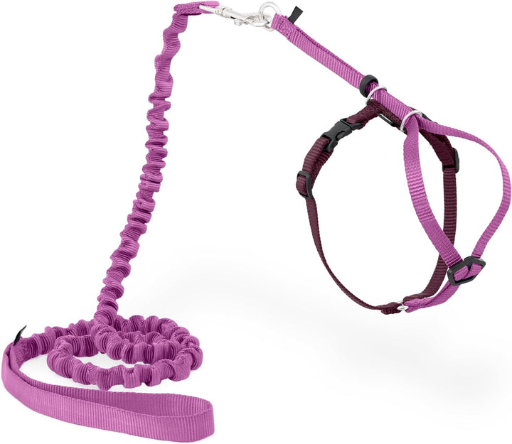 Come with Me Kitty Cat Harness & Bungee Leash - Comfortable No-Choke Harness with Lightweight Bungee Leash for Outdoor Fun - Escape Free Pulling Prevention - Medium - Lilac