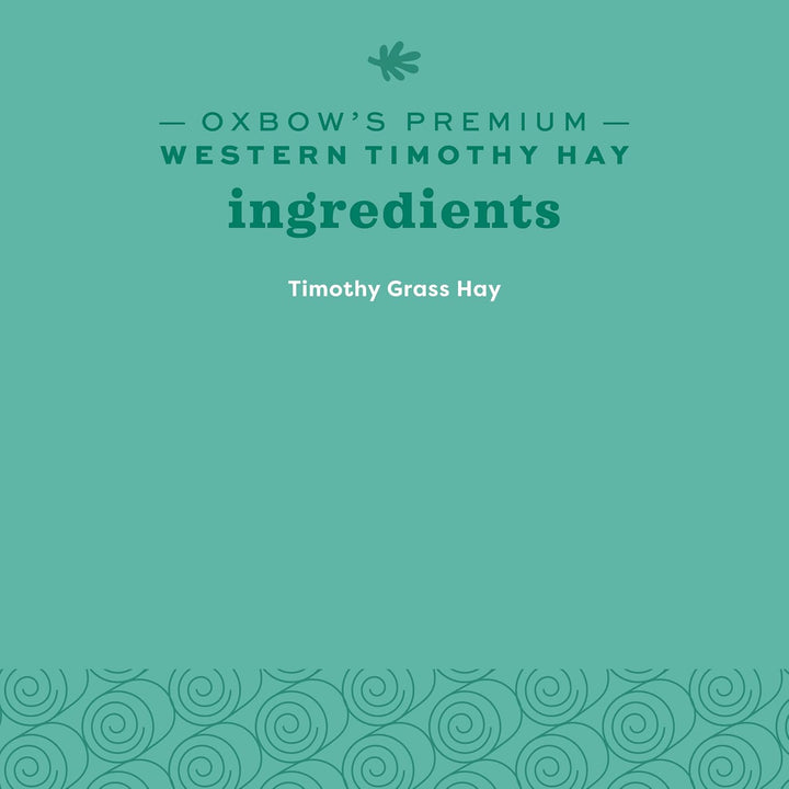 Animal Health Western Timothy Hay, Guinea Pig Hay, Small Pet Bunny Supplies, All Natural Grass for Guinea Pig, Bunny, Chinchilla & Hamster,  Rabbit Supplies for Bunnies, 90 Oz. Bag