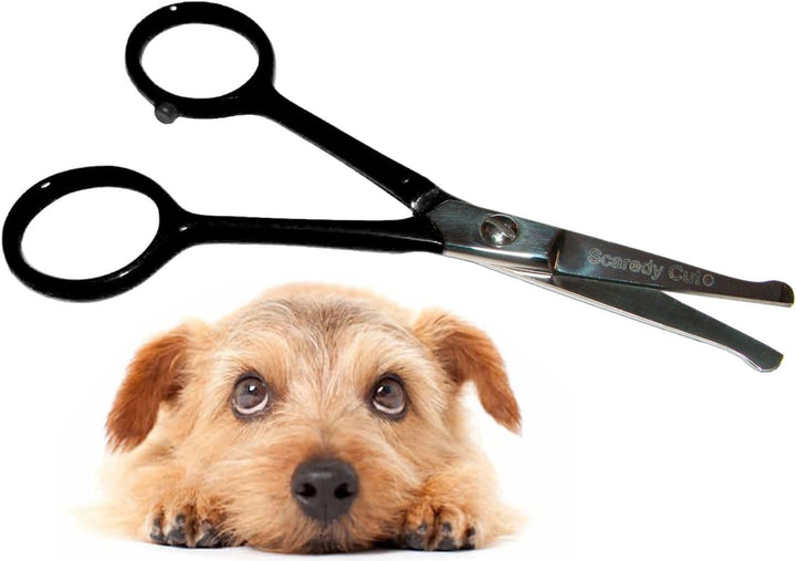 Tiny Trim 4.5" Ball-Tipped Scissor for Dog, Cat and All Pet Grooming - Ear, Nose, Face & Paw - 'S Small Safety Scissor Blue