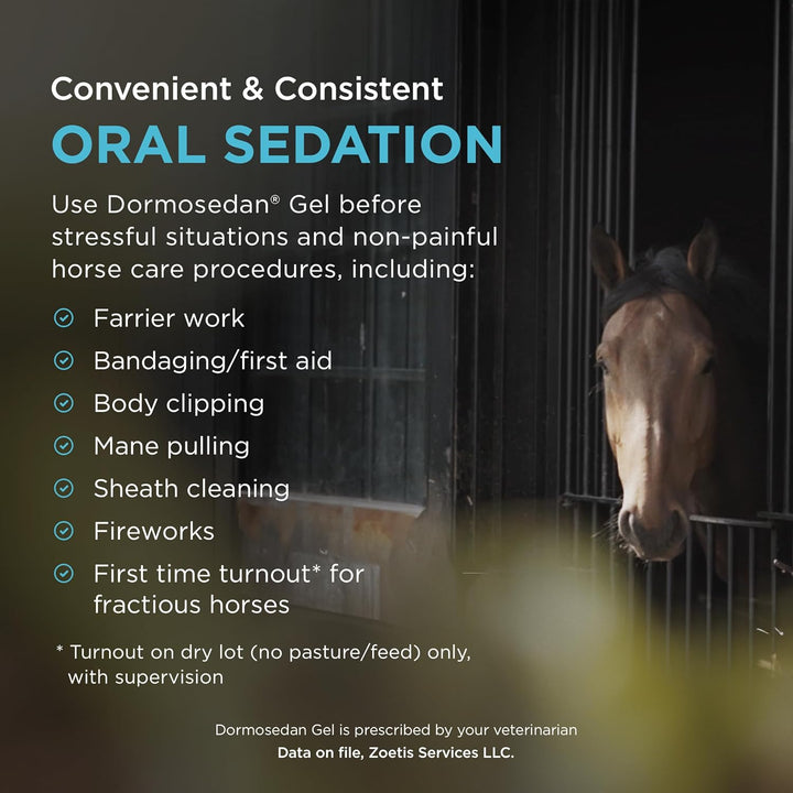 Gel (Detomidine Hydrochloride) for Horses, 3 Ml