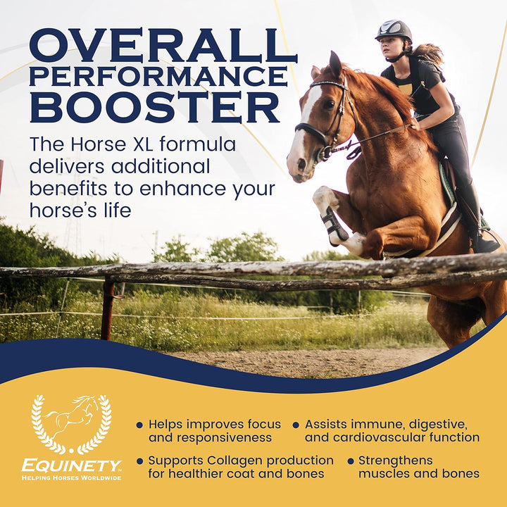 100-Day Supply Horse XL Supplement – Amino Acids for Cellular Repair, Coat Defense, Weight Gain, Joint & Hoof Support – No Soy/Sugar – Equine Supplements for Muscle, Immune Support & Overall Health