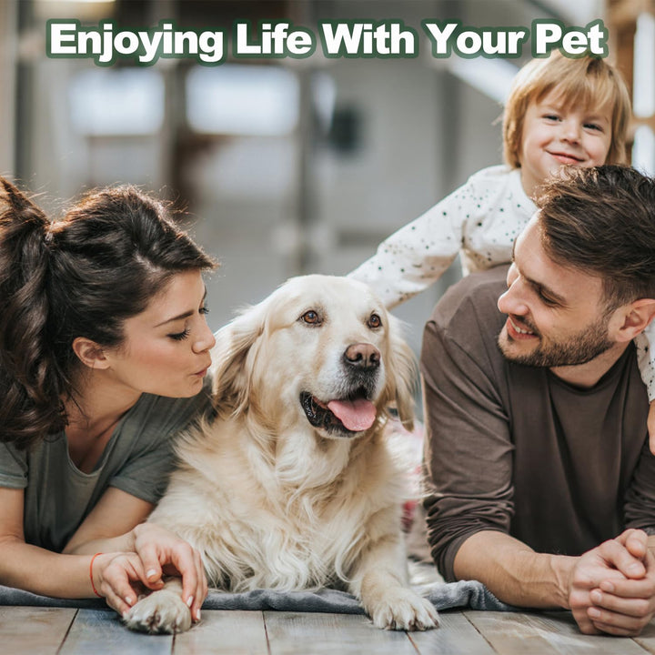 Effectively | Bitter Apple Spray for Dogs to Stop Chewing, NO Chew Spray for Dogs Protect the Safety of Furniture and Your Belongings, Prevent Licking Injuries (Blue, M)