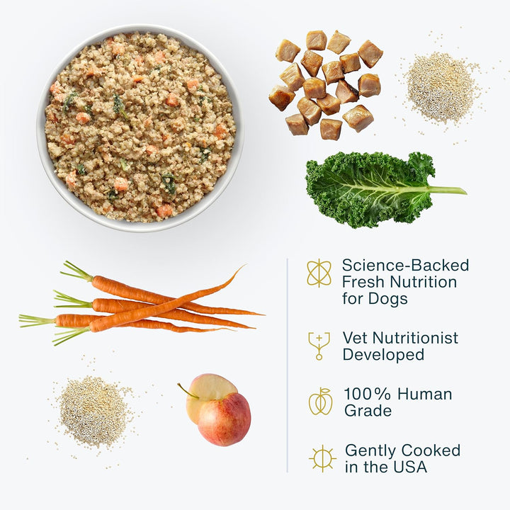 Frozen Fresh Dog Food for Sensitive Skin Allergies, Joint Health, Complete Meal or Human Grade Dog Food Topper, Joint & Skin Support, 18 Oz (Pack of 7)