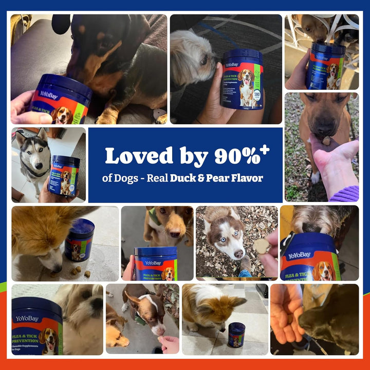 Flea and Tick Prevention for Dogs Chewable - 180 Soft Chews, Duck & Pear Flavor - Dog Flea and Tick Treatment Chewable, Natural Defense- Dog Immune Support Supplement