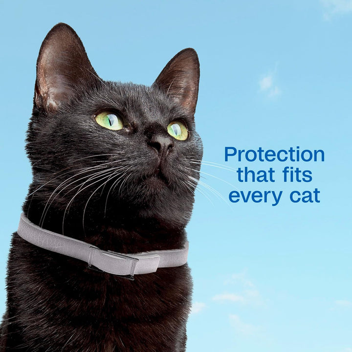 plus Flea & Tick Collar for Cats, Breakaway Collar, 1 White Collar, 7-Month Protection, Kills & Repels Fleas, Flea Eggs, Flea Larvae and Kills Ticks, Tick Nymphs, and Tick Larvae