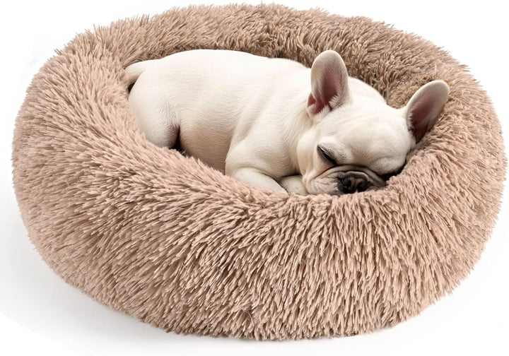 Dog & Cat Bed for Indoor Cats, 20In Calming Donut Bed for Puppy and Kitten, Washable round Fluffy Pet Bed for Small Medium Dogs and Cats (Light Grey)
