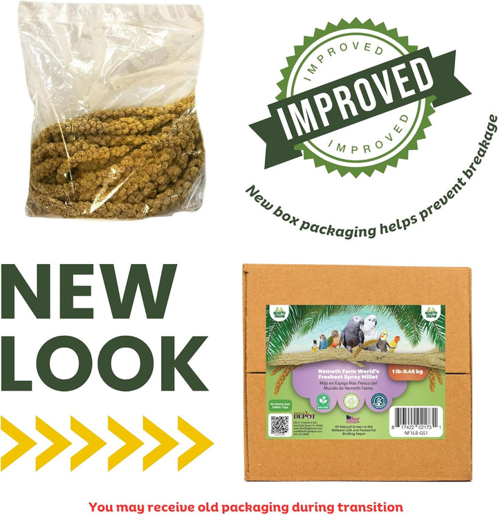 Premium Non-Gmo Spray Millet Treat | Hand-Harvested Bird Snack | 100% Edible Tops | Sun-Dried Supplement for Parakeets, Cockatiels, Finches, Lovebirds, Canaries