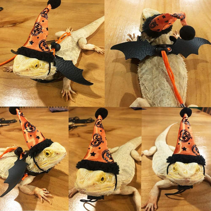 Halloween Bearded Dragon Lizard Leash Harness Hat Set - Reptile Halloween Clothe Pumpkin Hat + 3 Pack Reptile Harness Leash for Bearded Dragon Lizard