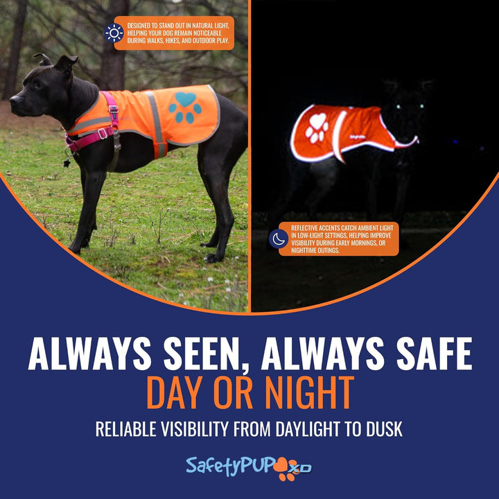 Reflective Dog Vest. Hi-Visibility, Fluorescent Blaze Orange Dog Vest Helps Protect Your Best Friend. Safeguard Your PUP from Motorists & Hunting Accidents, on or off Leash (Large)