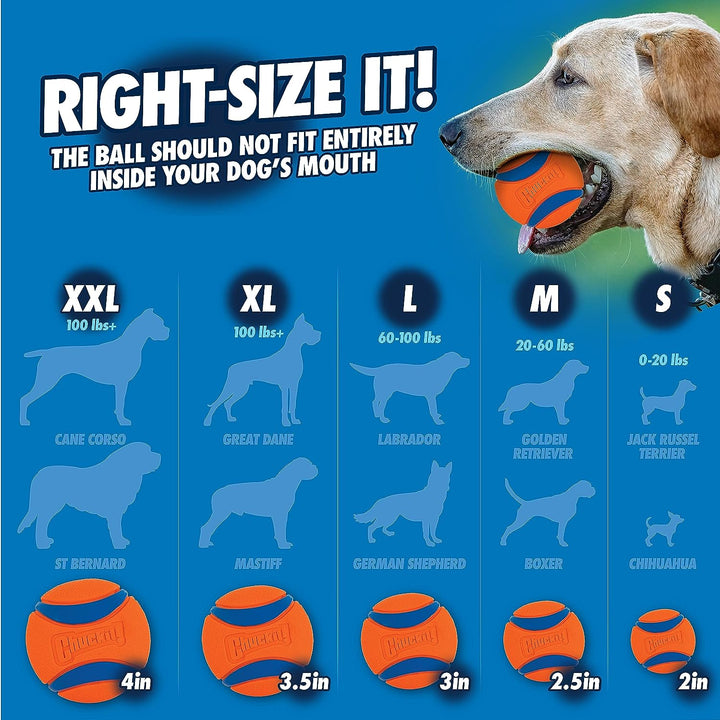 Fetch & Fold 25M Dog Ball Launcher, 25" Length, Includes Medium Ball (2.5") for Dogs 20-60 Pounds