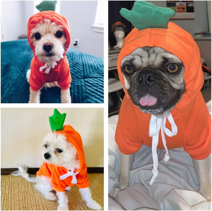 Dog Christmas Halloween Costumes,Dog Hoodies for Small Dogs Cats, Cat Puppy Outfits,Yorkie Chihuahua Pomeranian Clothes (Medium, Orange-Carrot)