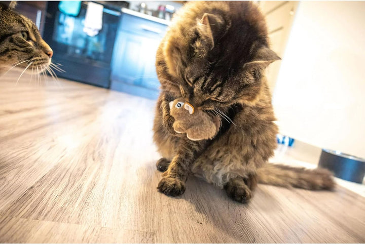 Lemur and Squirrel Cat Plush Set – 2 Piece Soft Cat Toys, Squirrel and Lemur Toy. (Pack of 2)