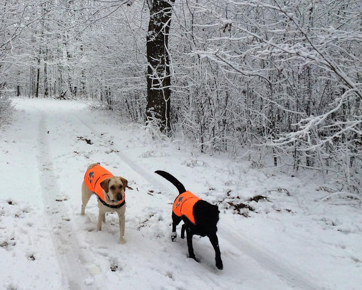Reflective Dog Vest. Hi-Visibility, Fluorescent Blaze Orange Dog Vest Helps Protect Your Best Friend. Safeguard Your PUP from Motorists & Hunting Accidents, on or off Leash (Large)