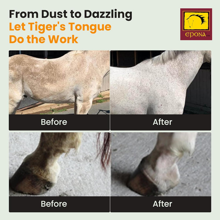 Tiger’S Tongue Horse Groomer – Deep Cleaning Scrubber & Massager for Horses – Removes Dirt, Dried Sweat Marks & Dander – Gentle Grooming Tool for Body, Legs & White Markings