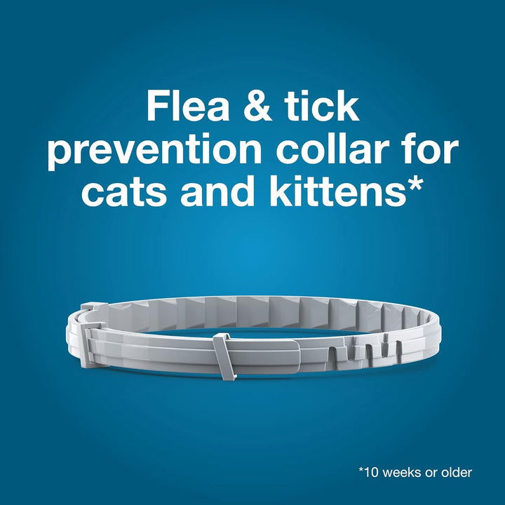 Cat Vet-Recommended Flea & Tick Treatment & Prevention Collar for Cats | 8 Months Protection