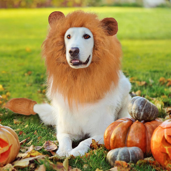 Lion Mane for Dog Costume, Realistic Funny Lion Wig for Medium to Large Sized Dogs, Halloween Fancy Mane (Brown Ear Tail)