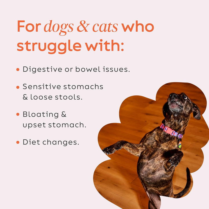 – Firm up Pumpkin for Dogs & Cats – Fiber Supplement with Pumpkin & Apple Fiber for Cat & Dog Digestive Support – Made in USA, 4 Oz