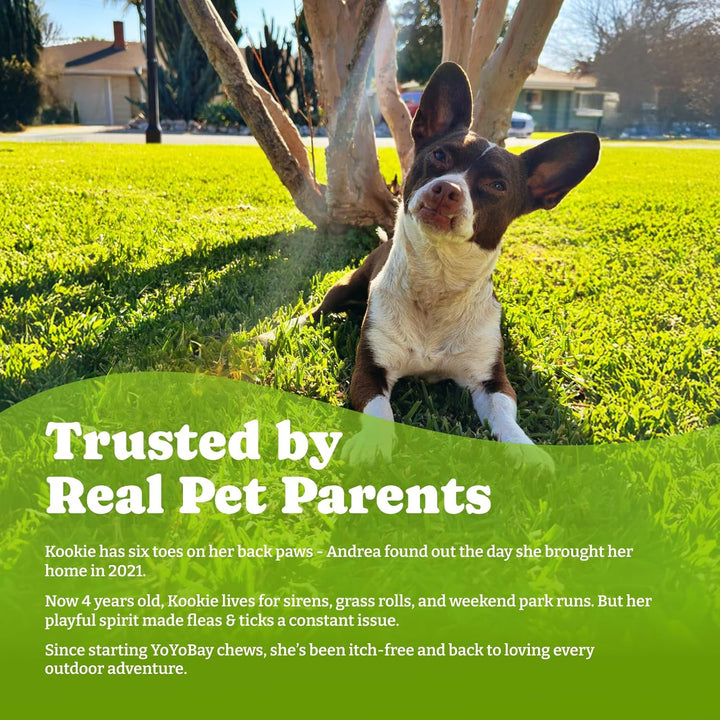 Flea and Tick Prevention for Dogs Chewable - 170 Soft Chews, Duck & Pear Flavor, Beef & Carrot Flavor