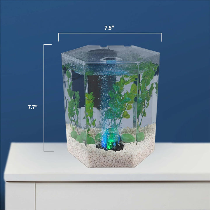 Bubbling LED Aquarium Kit 1 Gallon, Hexagon Shape, with Color-Changing Light Disc