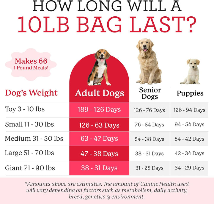 Canine Health Miracle Dog Food, Human Grade Dehydrated Base Mix for Dogs with 9 Vegetables and 6 Organic Whole Grains (10 Pounds)