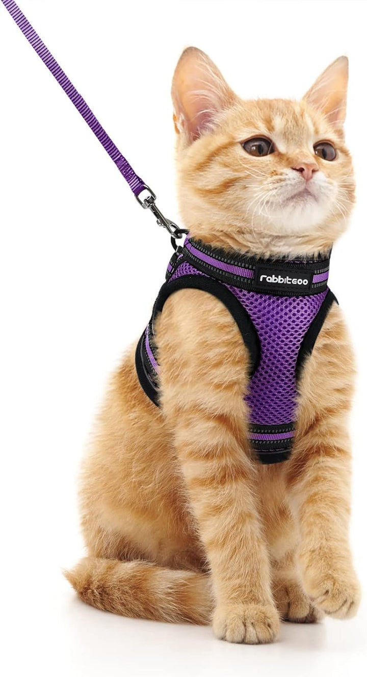 Cat Harness and Leash Set for Walking Escape Proof, Adjustable Soft Kittens Vest with Reflective Strip for Cats, Comfortable Outdoor Vest, Black, S