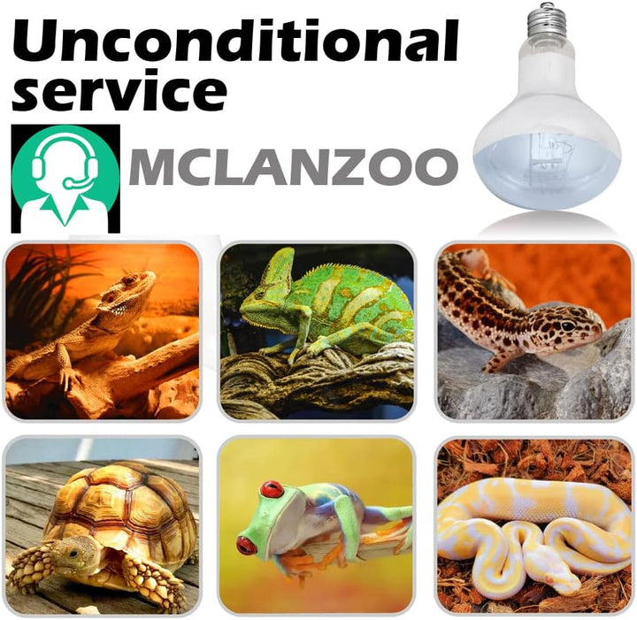 Reptile Heat Lamp 75W 2 Pack,Uva Basking Light Heat Lamp Bulbs,Natural Daylight Heating Light for Bearded Dragon,Turtle,Tortoise,Lizard,Snake,Gecko,Chicken with Digital Temperature Strips