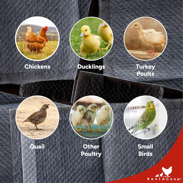 Hatchling Liners for Big Red Barn Pack of 12 - Odor-Control Chick Brooder Pads - Absorbent, Leakproof Bedding for Baby Chicks, Ducklings, and More (Big Red Barn Pack of 12)