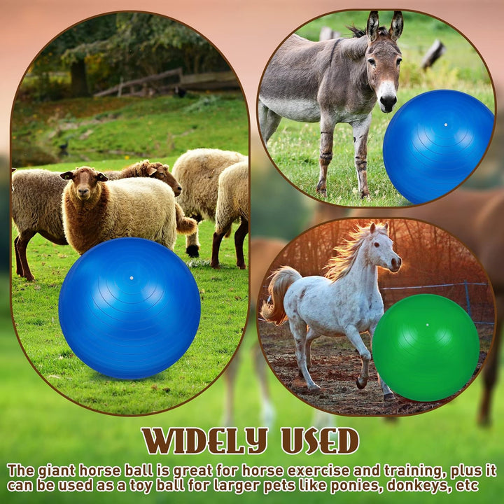 2 Pcs 40 Inch Horse Ball for Play Large Horse Big Equine Herding anti Burst Dog Ball Soccer Giant, Pump Included(40 Inch,Green, Blue)