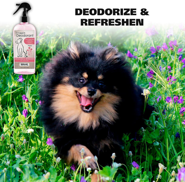 USA Cornflower Scented Pet Deodorant Spray for All Dogs & Cats – Clean Fresh Smell Refreshes & Deodorizes – 8 Oz - Model 820009A