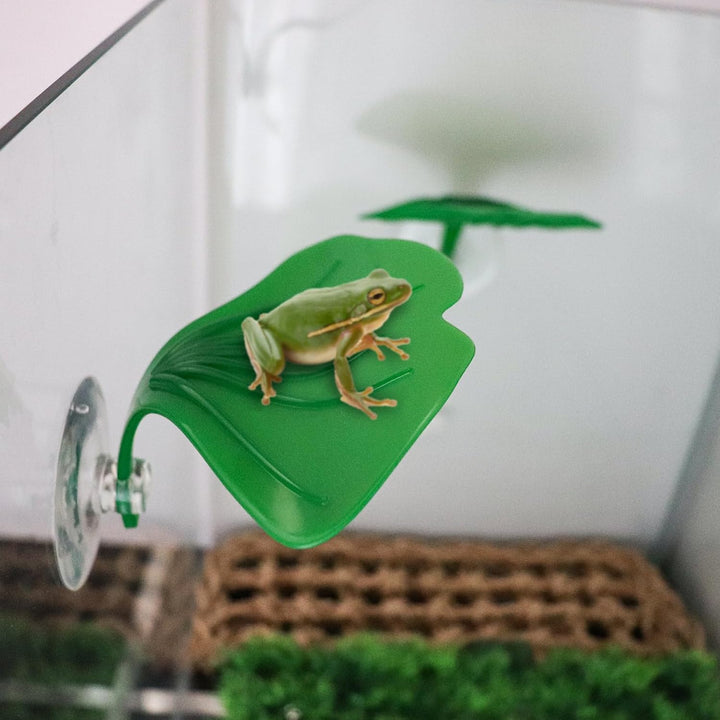 3 Pack Plastic Leaf Decorations with Suction Cups, Frog Habitat Platform, Reptile Decorations for Terrarium, Tank Terrarium Accessories for African Dwarf, Toad