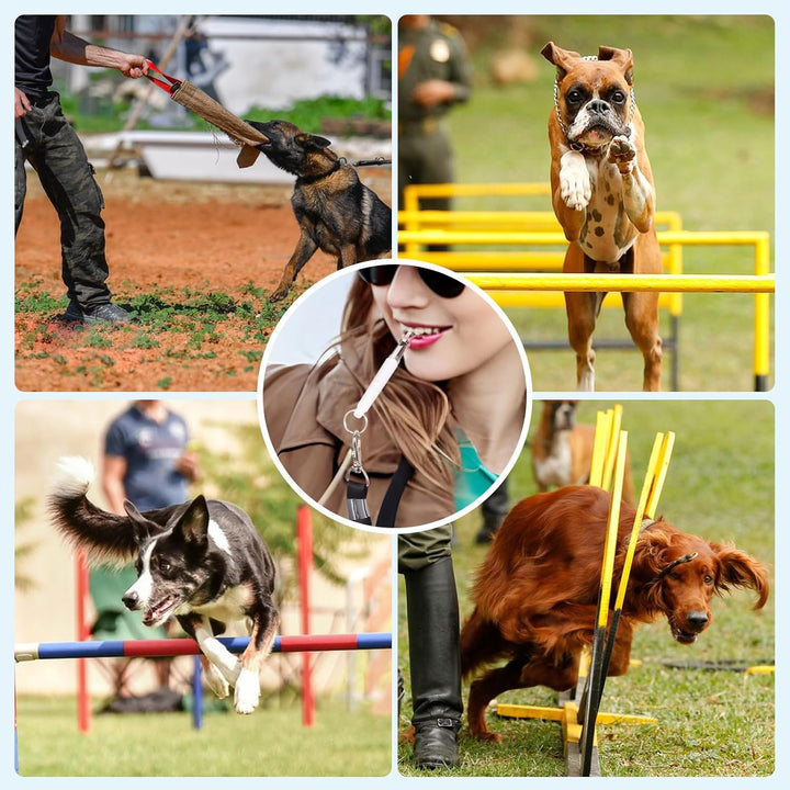 Dog Whistle, ﻿2 Pack Adjustable Frequency Silent Training Ultrasonic Dog Whistle to Stop Barking and Recall Training with Lanyard (Black and White)