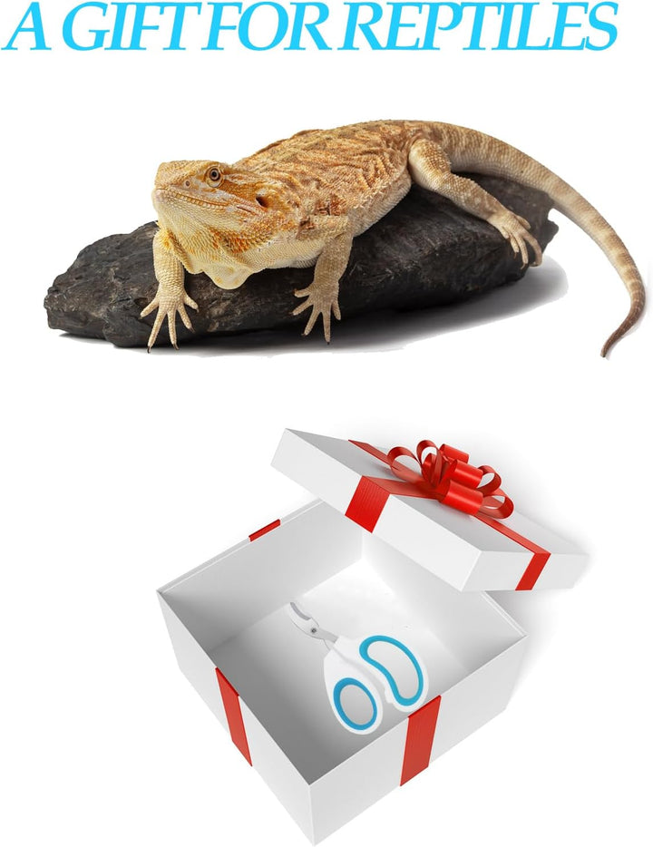 Stainless Steel Bearded Dragon Nail Clippers,Lizard Nail Clippers,Bearded Dragon Supplies,Bearded Dragon Nail Scissors for Small Reptiles,Turtle,Chameleon,Iguana，Hedgehog（Blue）