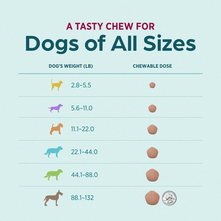 (Sarolaner, Moxidectin, and Pyrantel Chewable Tablets) Chewables for Dogs, 48 Mg/Tab, 44.1-88 Lbs, (Green), 6 Tablets