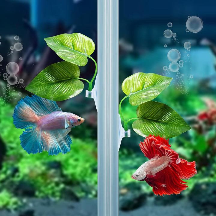 2 Pack Betta Fish Leaf Pad Improves Betta'S Health by Simulating the Natural Habitat - Natural, Organic, Comfortable Rest Area for Fish Aquarium Ornaments