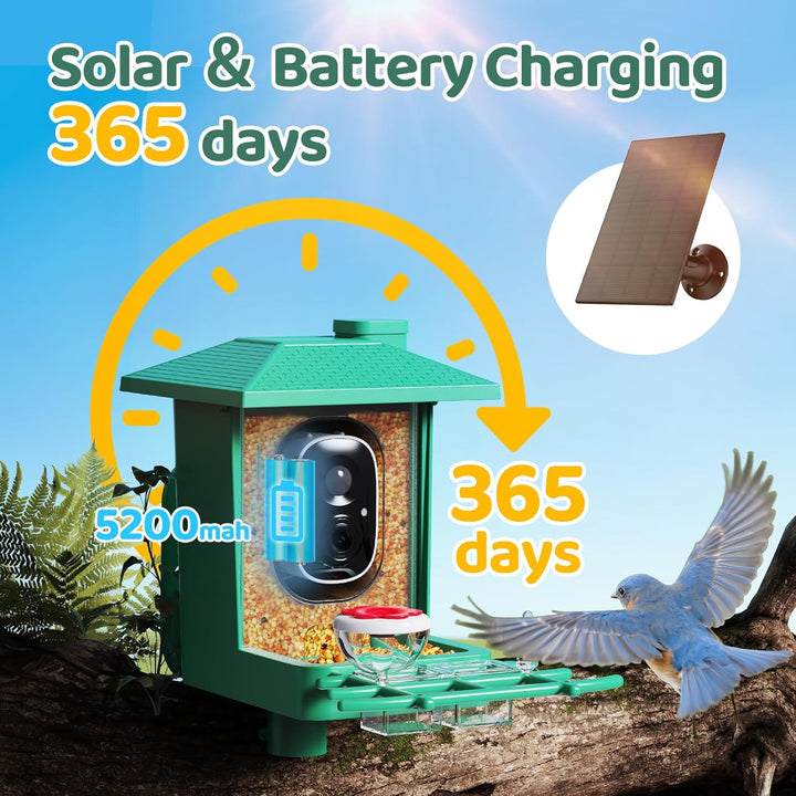Bird Feeder with Camera Outdoor Solar: Smart Birdfeeder with AI Recognition - 2K HD Live Stream Video Camera for outside Wild Birds Garden Decor - Bird Lover Gifts