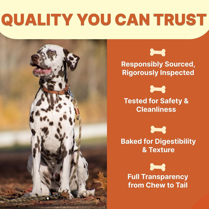 Gaines Pet Pig Ears for Dogs - 40 Count, Thick Cut, All-Natural Whole Ears - No Additives or Hormones, Safe Rawhide Alternative, Dental Health, Easy to Digest, Great for Small to Large Dogs