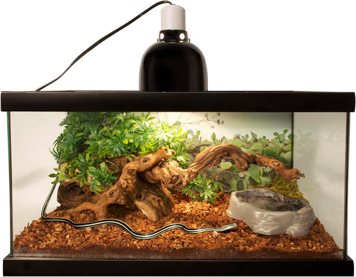 Reptile Bark Fir Bedding, 8 Quarts