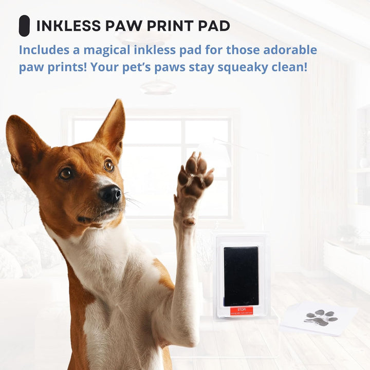 Large Dog Urn for Ashes, 4 Customizable Displays with Paw Print Ink Kit, 8.5X8.5X5.8 Pet Urns for Dogs Ashes, Pet Cremation Box, Cat Urn for Ashes, Dog Ashes Keepsake