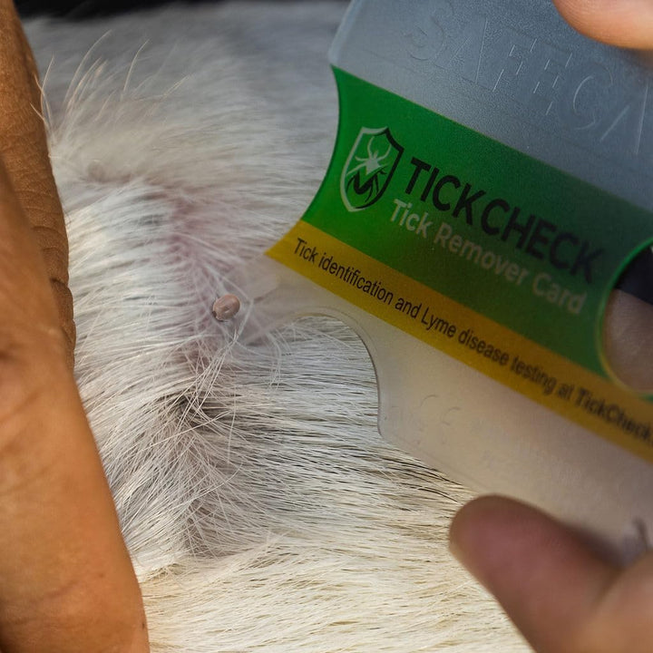Tick Remover Card - Wallet Sized Tick Removal Tool with Free Tick ID Card & Testing Information - for People, Dogs, Cats (1)