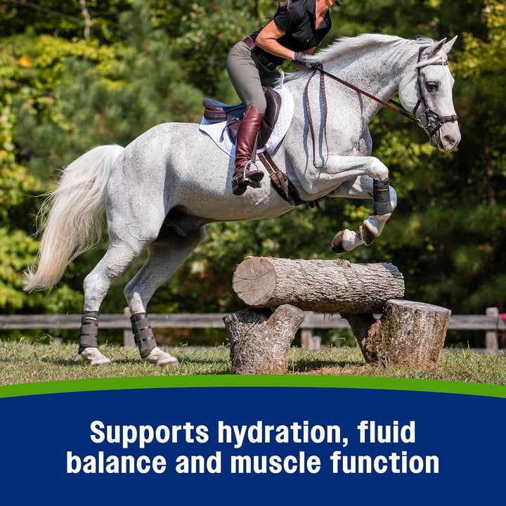 Apple Elite Electrolyte Powder Supplement for Horses, Replaces Vital Minerals, Encourages Hydration, No Added Sugar, 5 Pounds