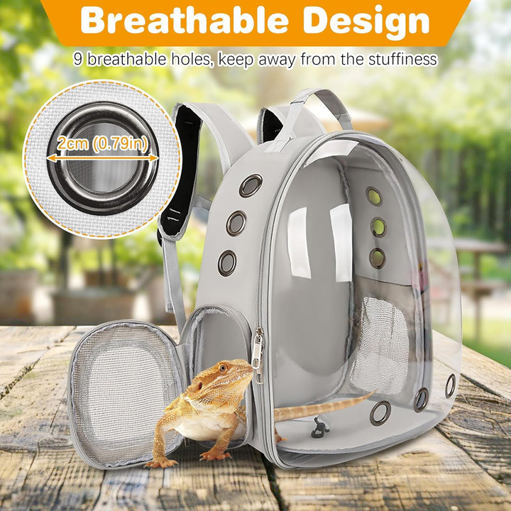 Bearded Dragon Carrier with Harness and Leash Set, Large Reptile Travel Carrier Portable Lizard Backpack Clear Small Animals Carrying Bag for Gecko Hamster Rabbit Hedgehog Kitten (Black)