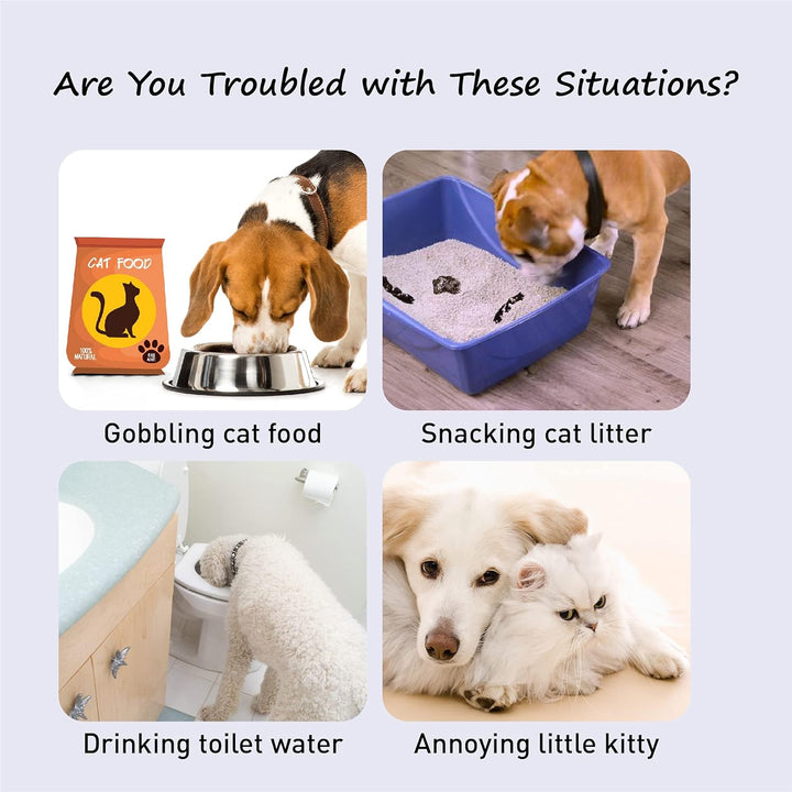 Adjustable Door Strap and Latch, Textile Cat Door Latch to Keep Dog Out of Litter Box, Economical Alternative of Pet Gates, Basic 1 Pack