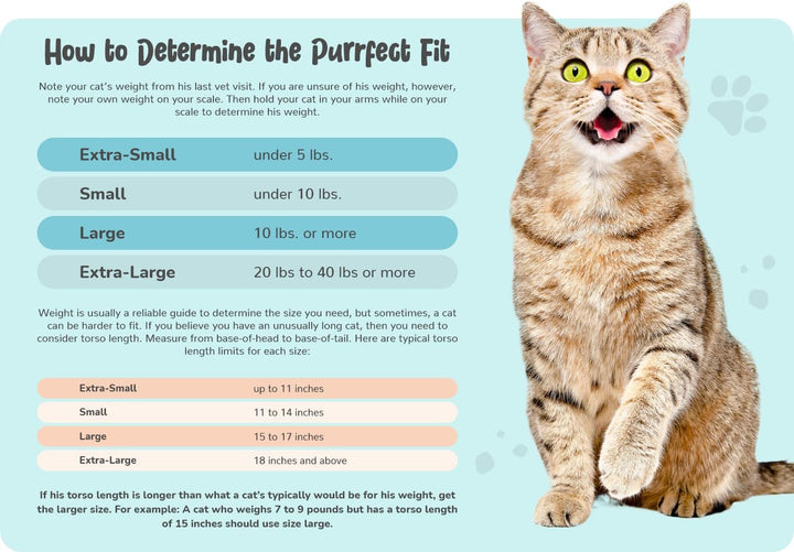 Cozy Comfort Carrier - Large Red Cat Carrier Soft and Pet Carrier for Nail Trimming, Vet Visits, Medication Administration, Dental Care, and Travel