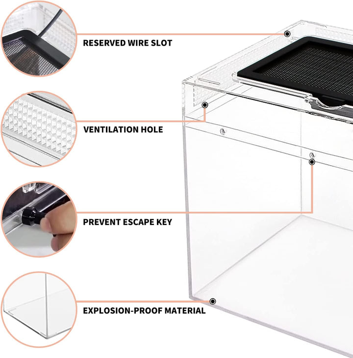 Mini Reptile Terrarium,12" X 7"X 9" Reptile Tank with Full View Visually Appealing，For Insect，Fish，Tarantula，Hermit Crab，Jumping Spider，Iguana，Tortoise，Leopard Gecko，Frog，Bearded Dragon